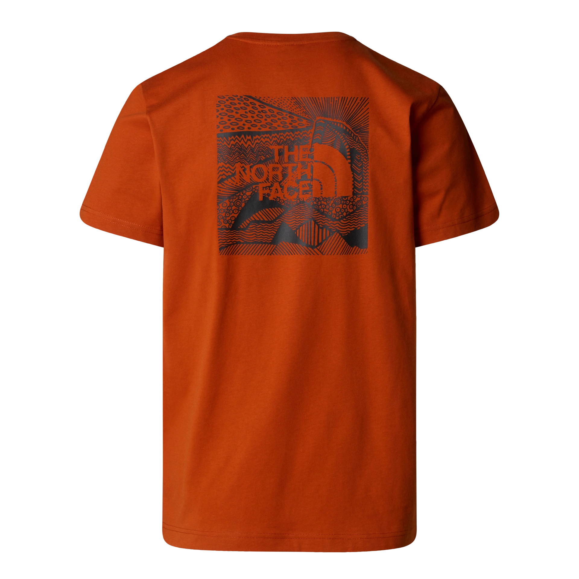 Camiseta THE NORTH FACE Redbox Celebration Earthen Copper