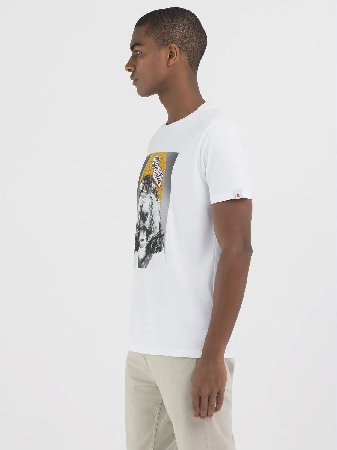 Camiseta REPLAY Regular de Punto con Estampado White