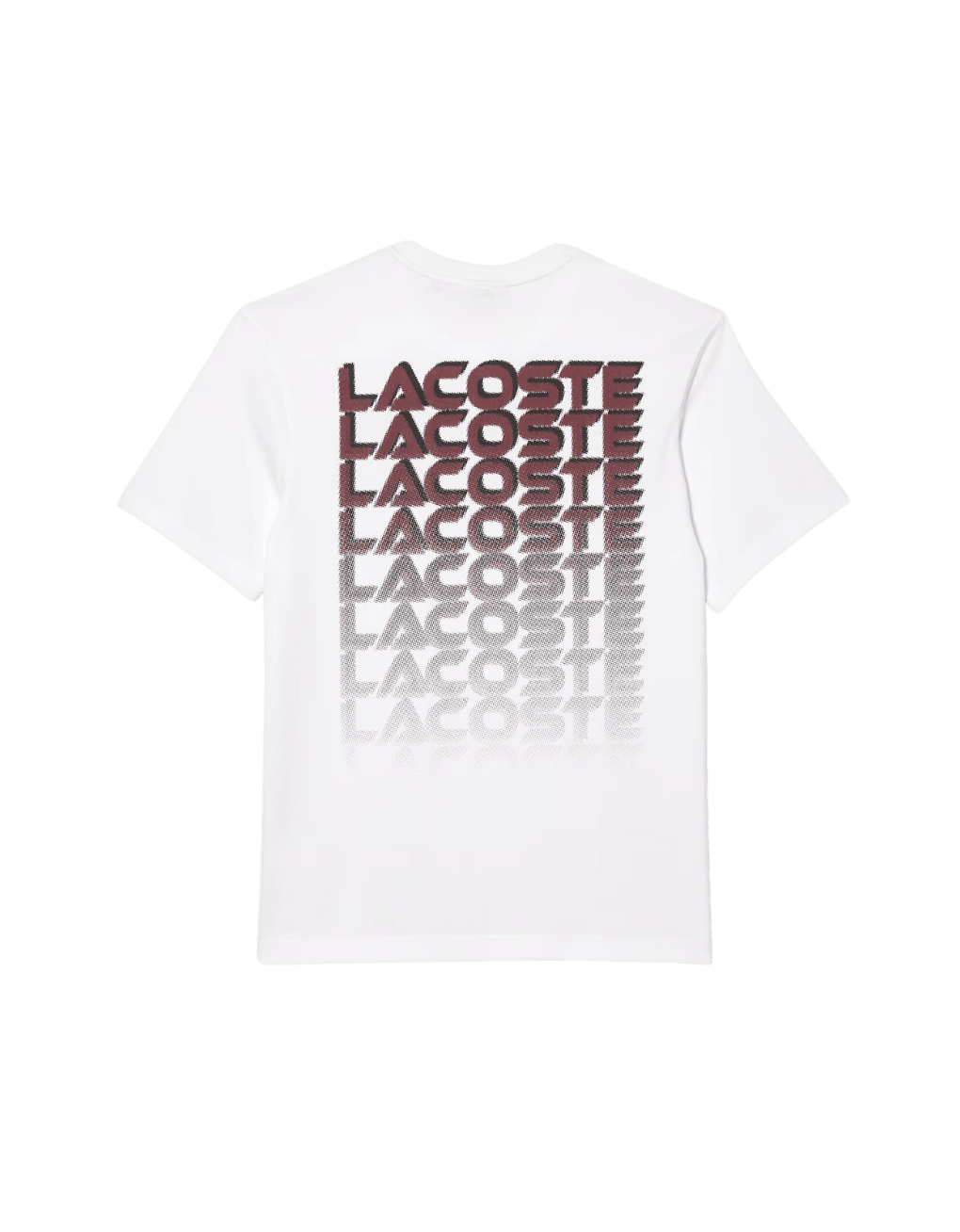 Camiseta Lacoste de punto de algodón grueso con estampado - ECRU